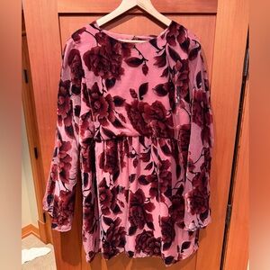 Hutch Pink and Red Floral Mini Dress